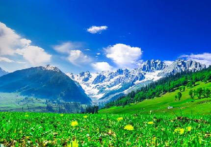 Taxi from Jammu & Katra