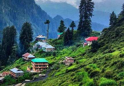 Dalhousie Taxi & Tour