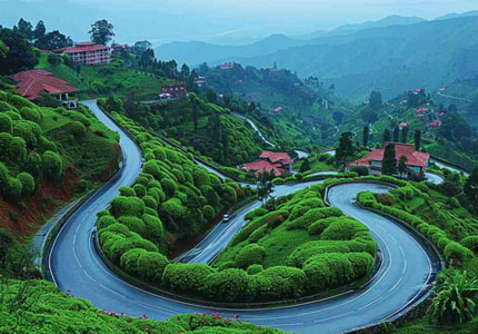 Dalhousie Taxi & Tour