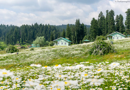 Jammu Taxi & Tour