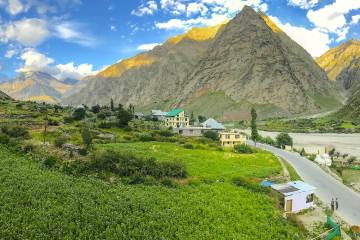 Leh Pangong Nubra Explorer Tour