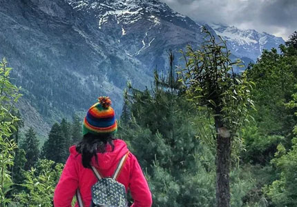 Kasol Taxi & Tour