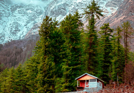 Kasol Taxi & Tour