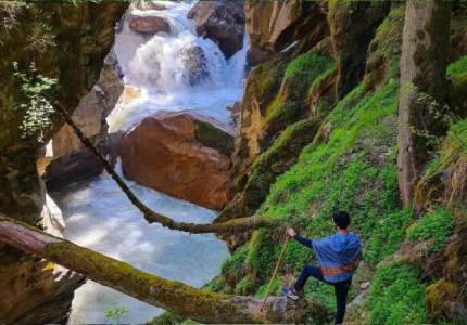 Kasol Taxi & Tour