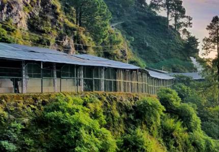 Katra Taxi & Tour