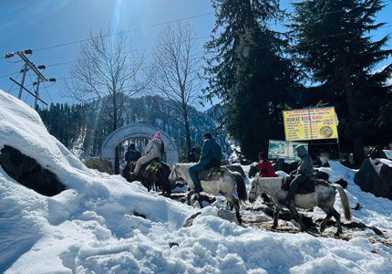 Manali Taxi & Tour
