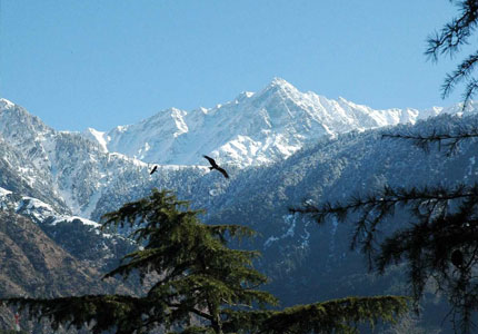McLeod Ganj Two Days Tour from Chandigarh