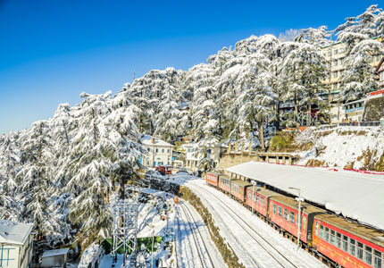 Shimla Taxi & Tour