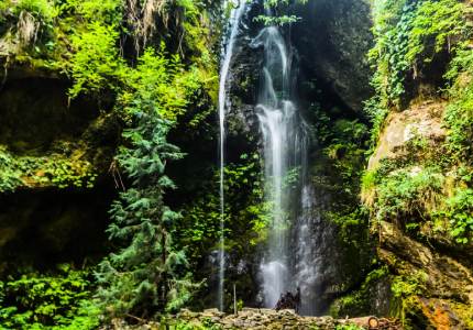 Dalhousie Dharamshala Tour from Amritsar