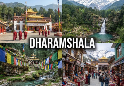 Dharamshala Taxi & Tour