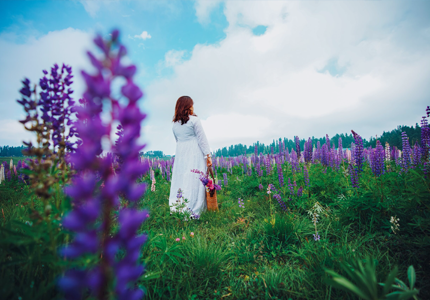 Srinagar–Gulmarg–Pahalgam Leisure Holiday