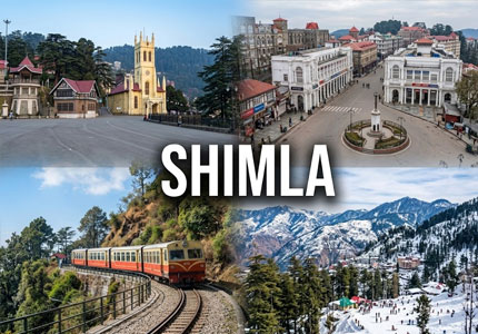 Shimla Taxi & Tour