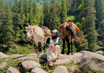Chandigarh to Manali Experience Tour