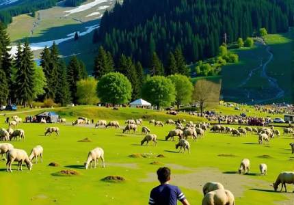 Srinagar – Sonamarg & Gulmarg Escape