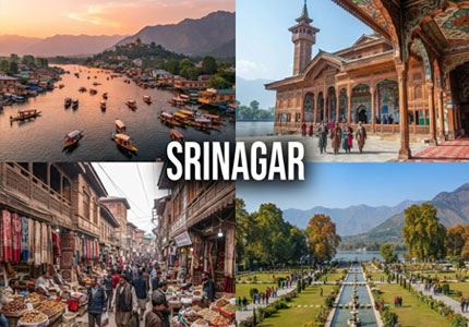 Srinagar Taxi & Tour